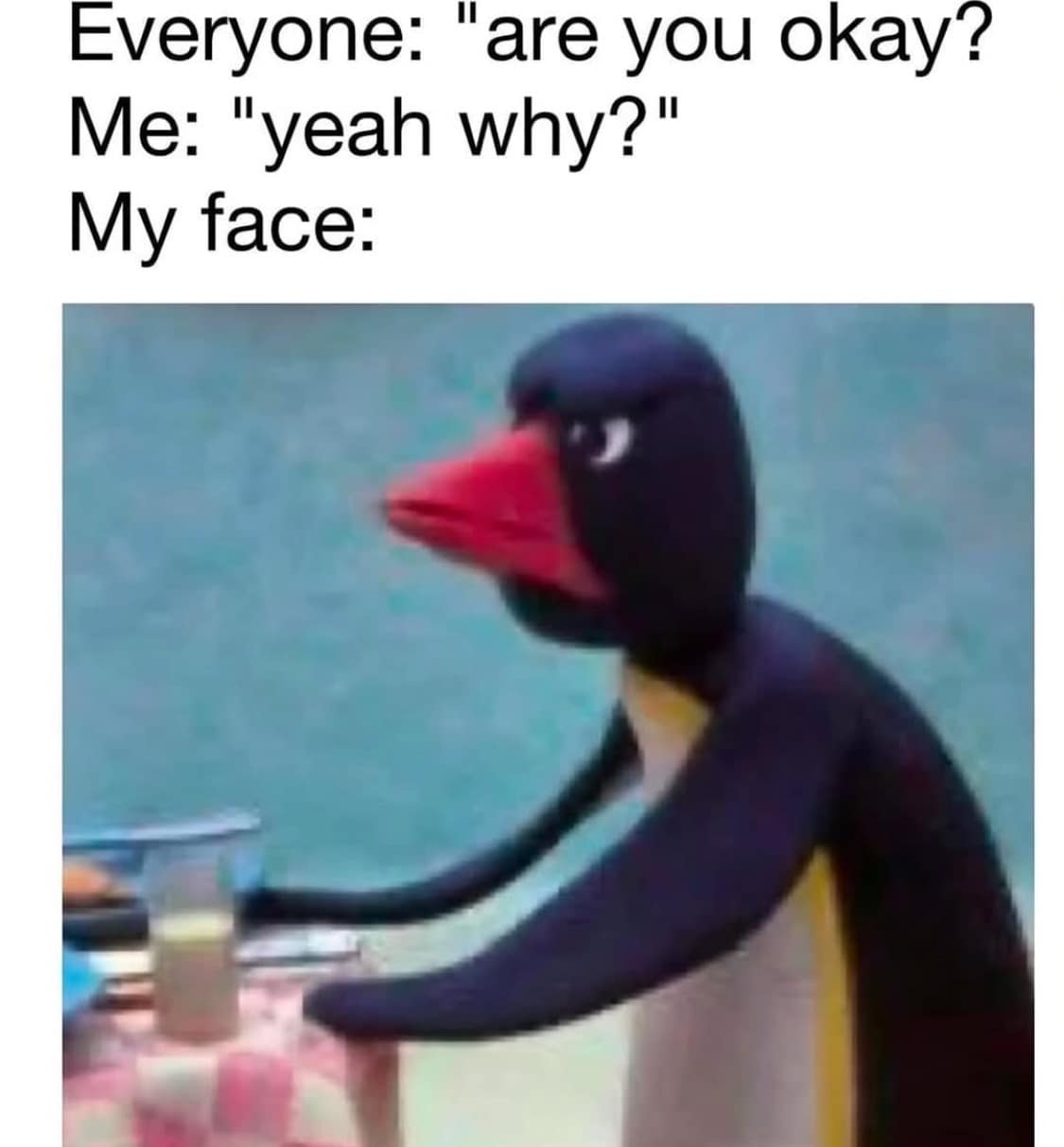 A reaction old meme using the claymation character Pingu looking furiously angry to illustrate the disconnect between saying "I'm okay" and your actual facial expression.