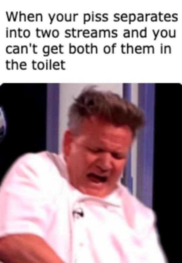 A painfully relatable bathroom old meme showing a disgusted, panicked Gordon Ramsay, perfectly illustrating the sheer panic of when your p*ss separates into two streams and entirely misses the toilet.