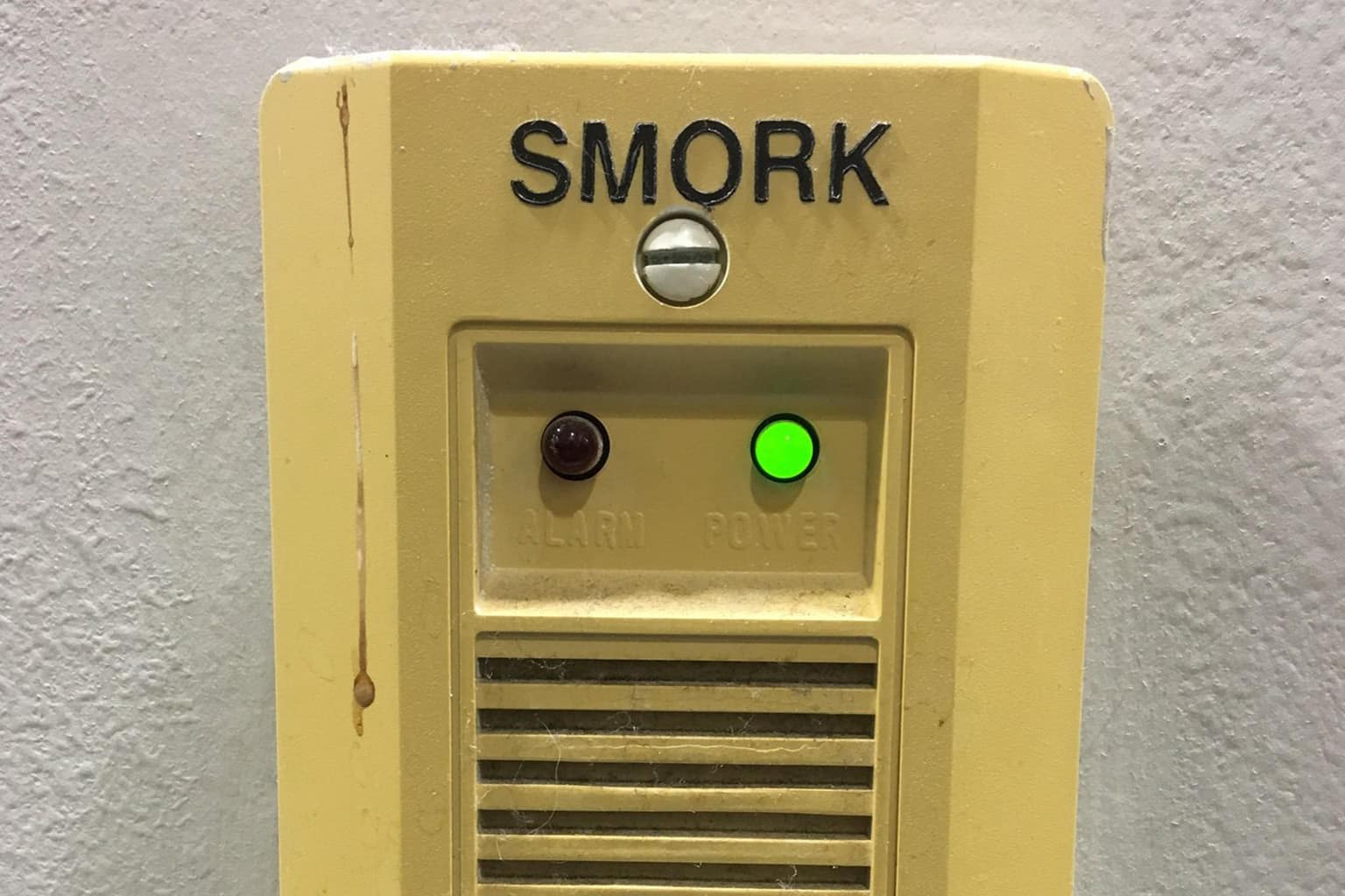 Classic memes compilation: A collage featuring the pet parrot wearing an absurd green braided Amazon wig, the vintage 1980s McDonald's photorealistic hamburger cap, and the massive, scruffy neighborhood barn cat terrifying a purebred Bengal through a glass door.