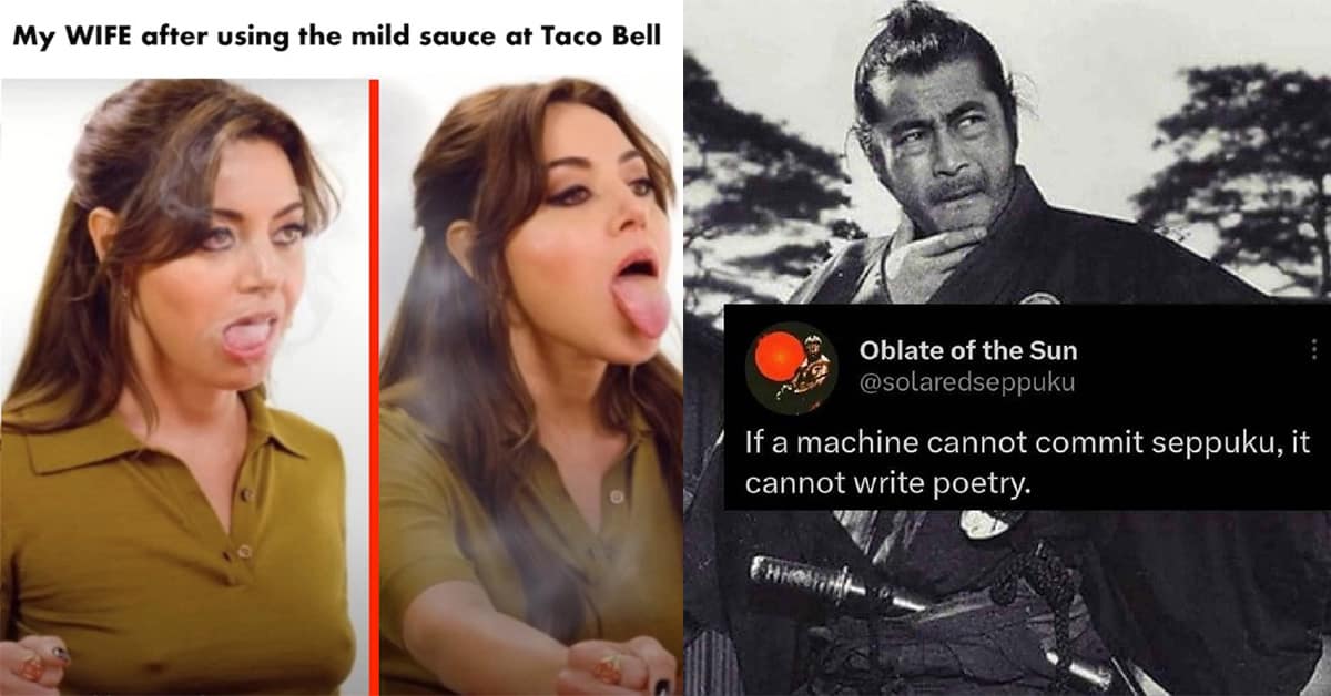 Best classic memes compilation featuring viral hits like the Blade Runner 2049 sad cat, Costco pants philosophy, and Double Dare nostalgia.