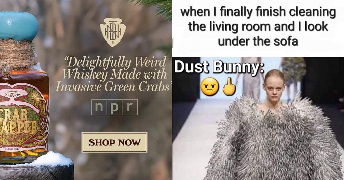 Best classic meme compilation featuring the Netflix cancellation joke, King of the Hill search history panic, and the Lord of the Rings sleep struggle.