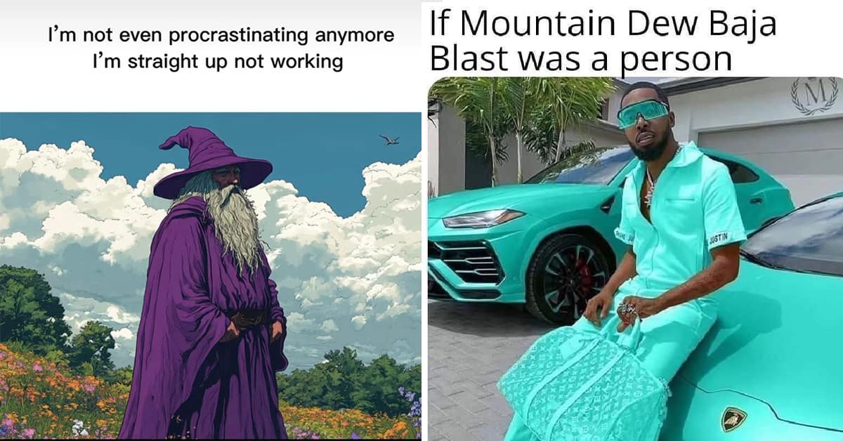 Best classic meme compilation featuring the "rude and unreasonable" chicken, Guy Fieri's hair theory, and the "Mental Illinois" pun.