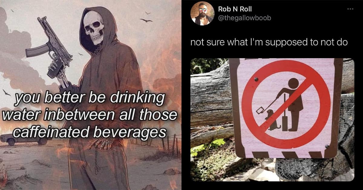 Classic meme compilation of the best viral tweets and vintage memes of the day