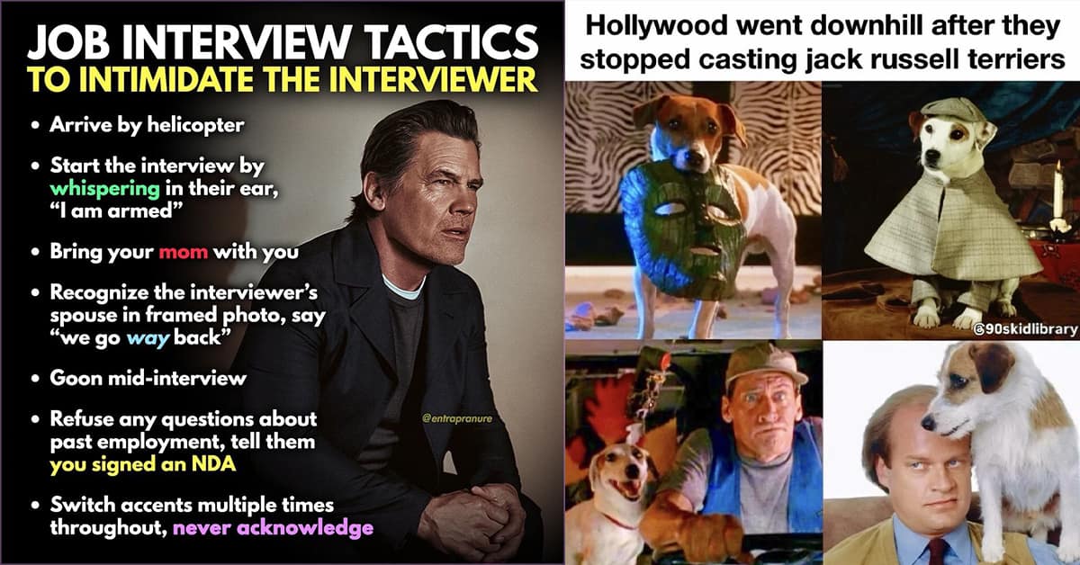 A compilation of classic memes including the IRS tax jail text, the 90s Cyclops WD-40 comparison, and the shark biting the internet cable.