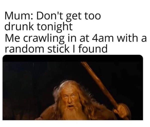 Deranged looking Gandalf holding his staff. Funny reaction for coming home drunk at 4am carrying a random stick.