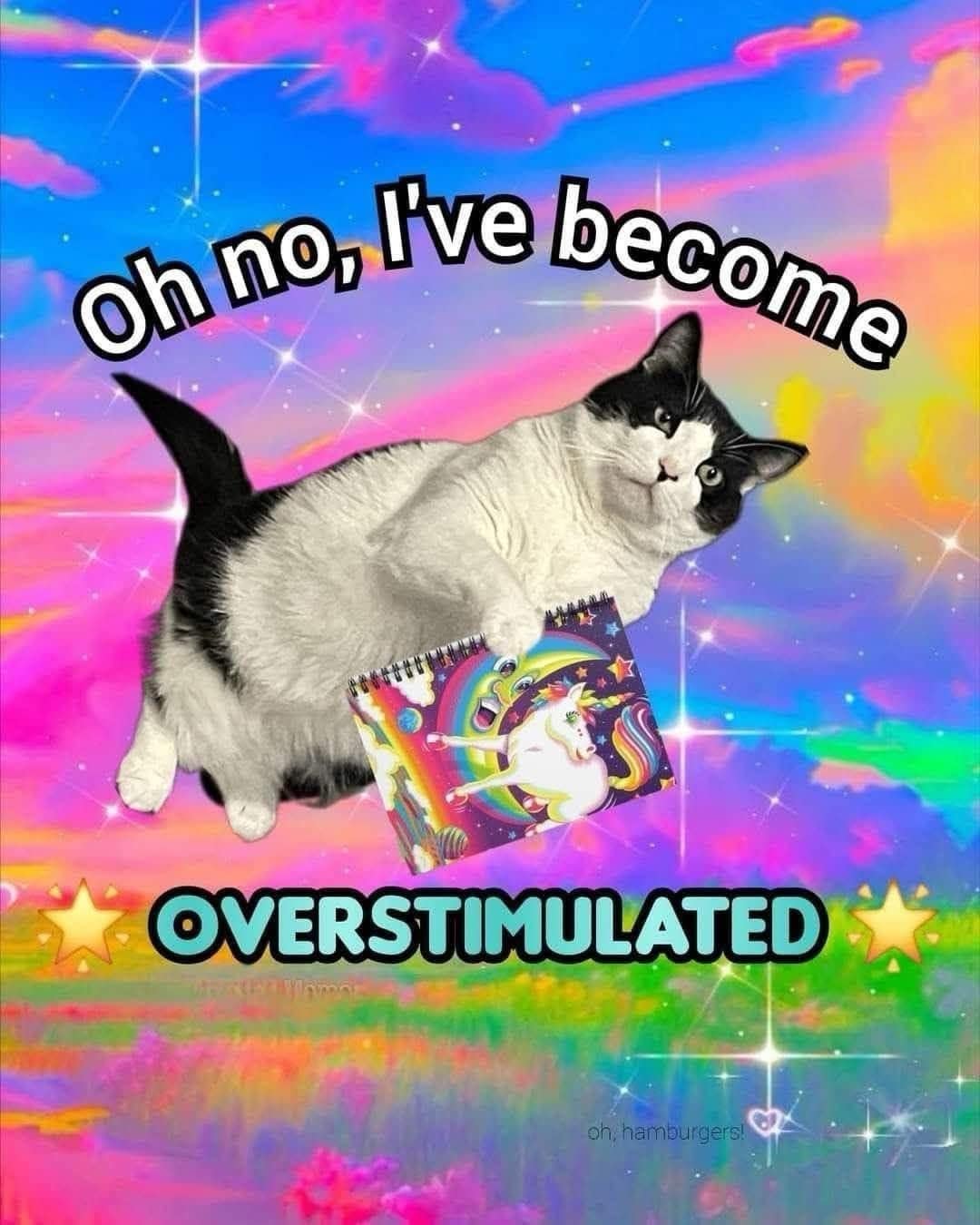 A visually chaotic, Lisa Frank-inspired old meme showing a floating cat holding a retro unicorn notebook against a vibrant rainbow background, dramatically announcing, "Oh no, I've become OVERSTIMULATED."