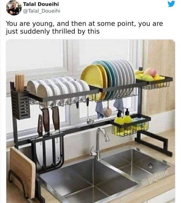 Classic meme: A large, organized stainless steel dish drying rack over a sink. Text: "You are young, and then at some point, you are just suddenly thrilled by this."