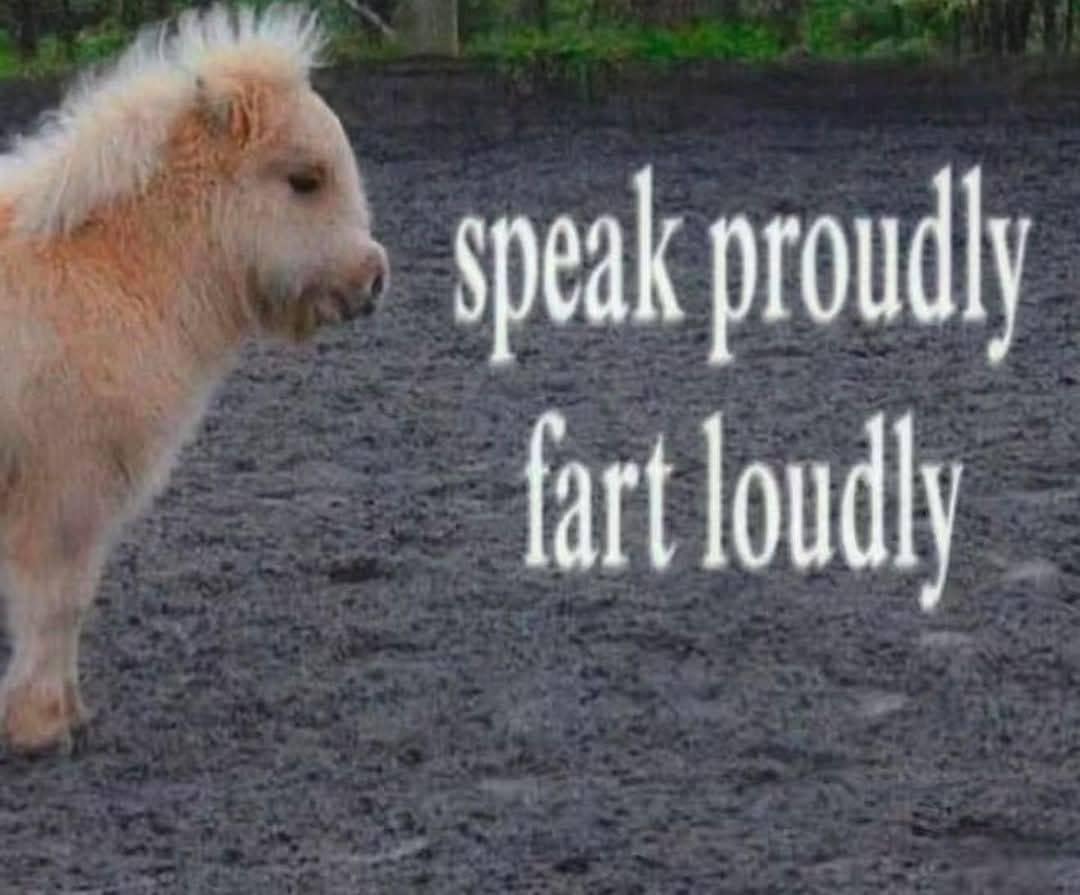An inspirational old meme featuring a stoic, majestic miniature horse standing in the dirt, accompanied by the profoundly terrible but hilarious advice to "speak proudly, fart loudly."