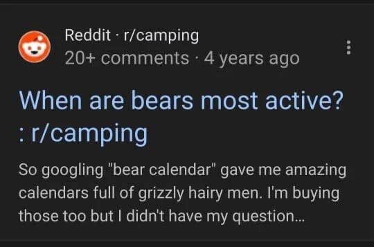Classic meme: Reddit comment from r/camping about accidental searches. Text: "So googling 'bear calendar' gave me amazing calendars full of grizzly hairy men."