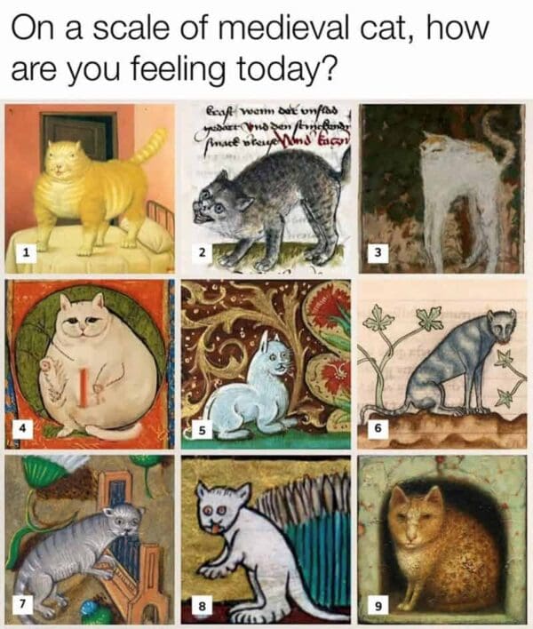classical art meme: A grid of nine strangely drawn medieval cat illustrations with human-like facial expressions. Text: "On a scale of medieval cat, how are you feeling today?"