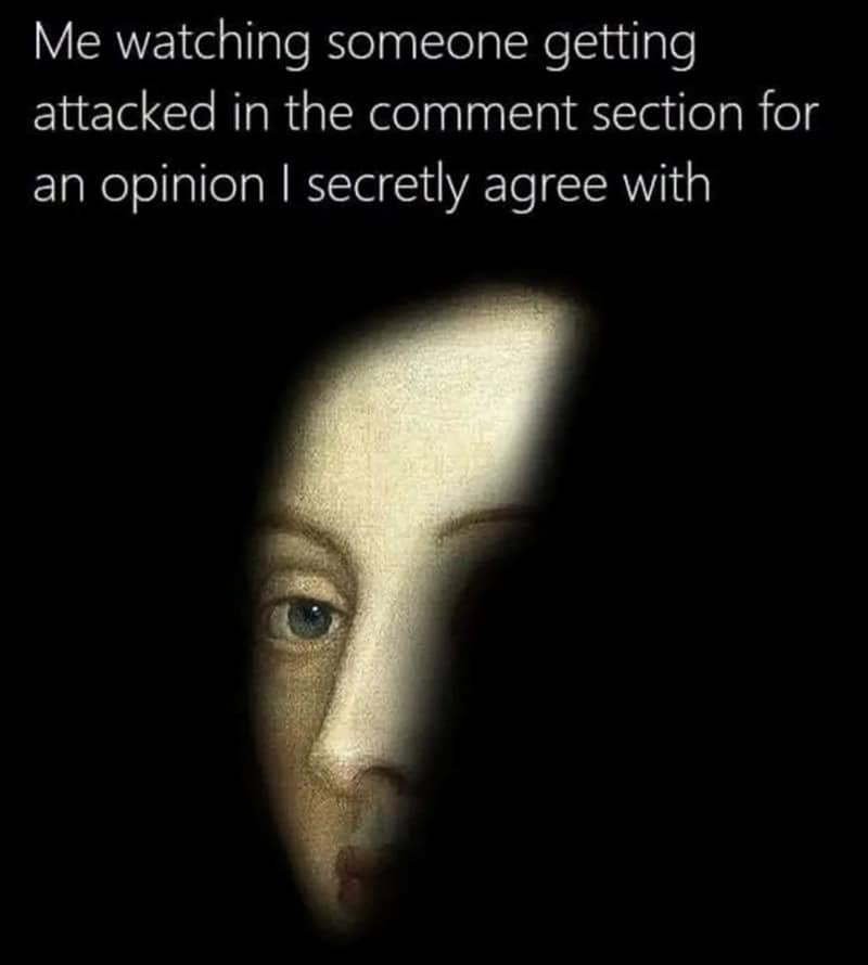 classical art meme: A close-up of a painted face peering through a narrow vertical beam of light in the darkness. Text: "Me watching someone getting attacked in the comment section for an opinion I secretly agree with".