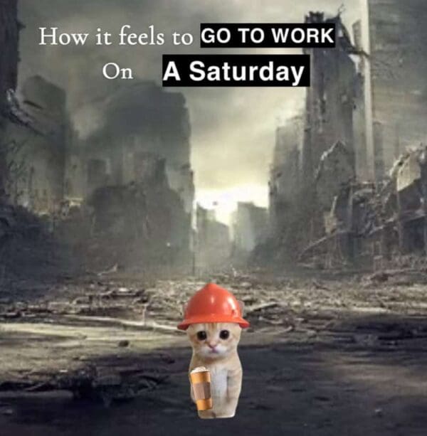 A depressing construction meme featuring a sad kitten in a hard hat holding a coffee cup, standing in a war-torn apocalyptic city to represent the feeling of going to work on a Saturday.