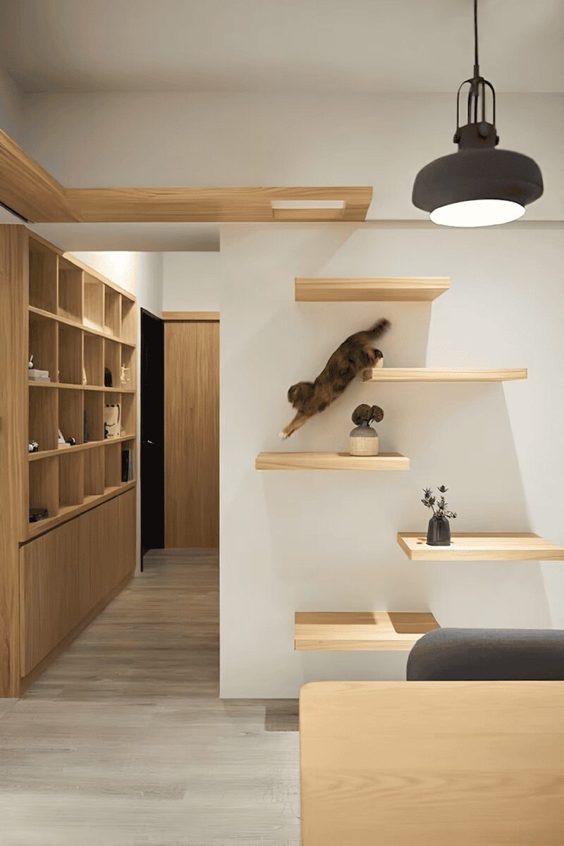 Minimalist interior with floating wooden wall shelves designed as a climbing path for a leaping cat.