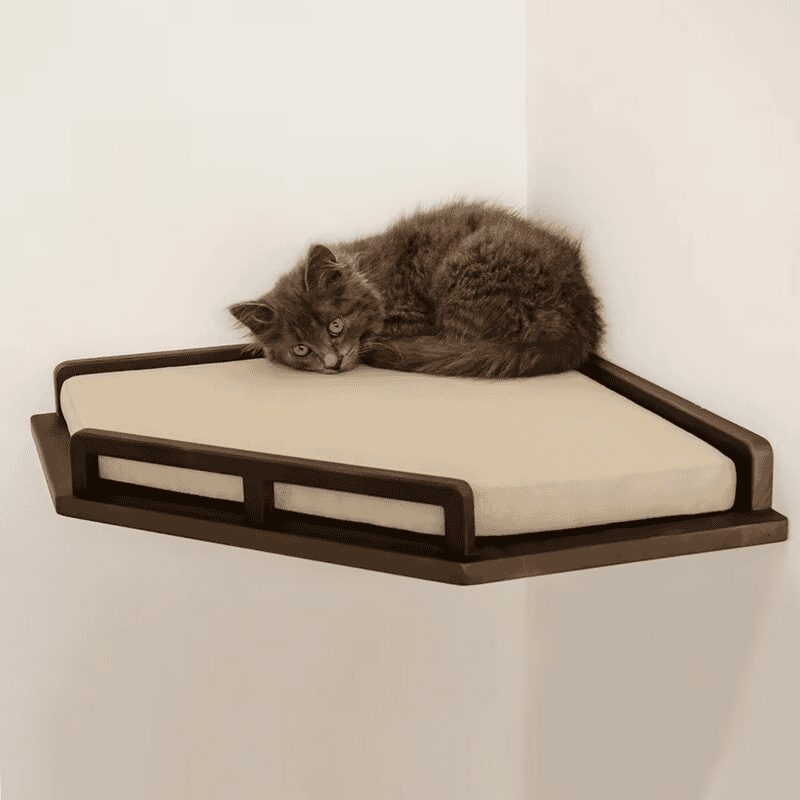 Sleek dark wood corner shelf with a plush cream cushion and a fluffy gray cat resting.