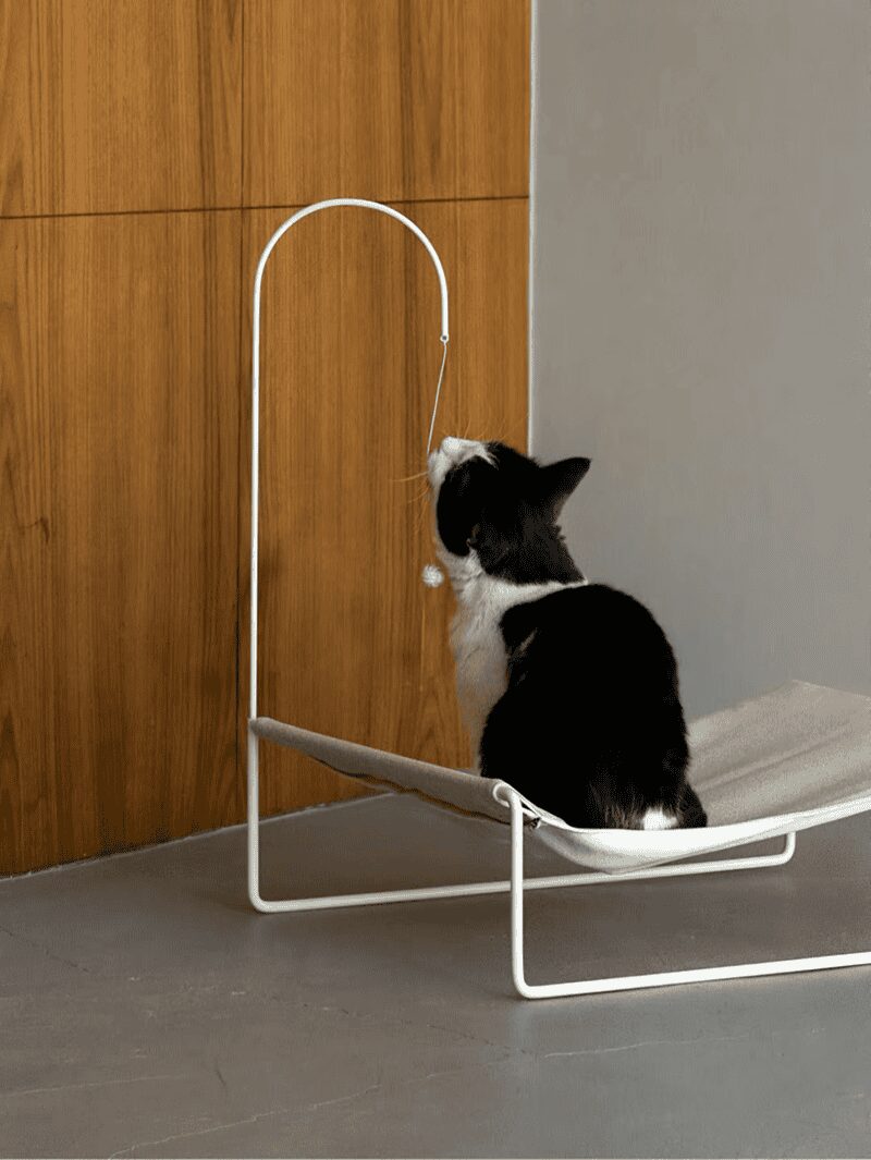 Contemporary white wire frame cat hammock with a hanging ball toy and a black and white cat.