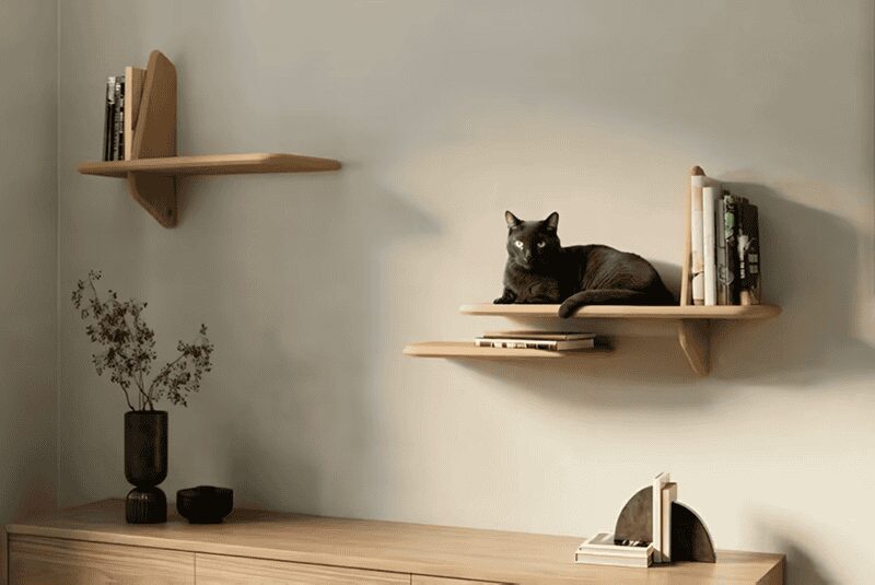 Elegant light wood floating bookshelves serving as a resting perch for a sleek black cat.