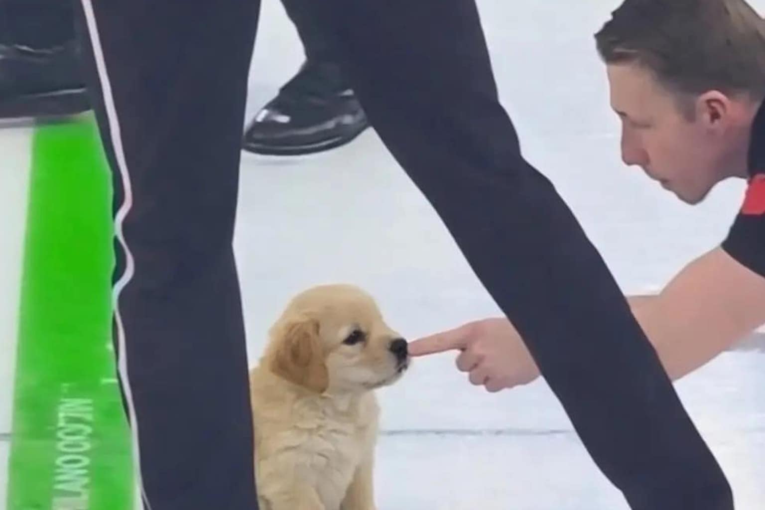 Curling finger meme compilation: A collage featuring the "Creation of Adam" parody with Marc Kennedy, the surreal "Finger Leaf" Canadian flag, and the E.T. "glowing finger" touch on the ice.