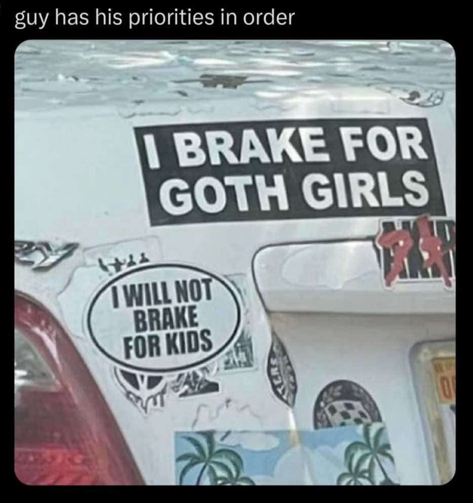 Car bumper stickers showing contradictory priorities about braking for goth girls versus braking for kids.