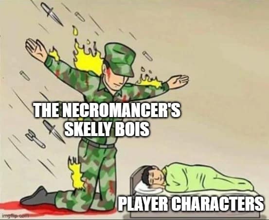 A wholesome d&d meme showing a soldier labeled "The Necromancer's Skelly Bois" taking damage to protect the sleeping "Player Characters."