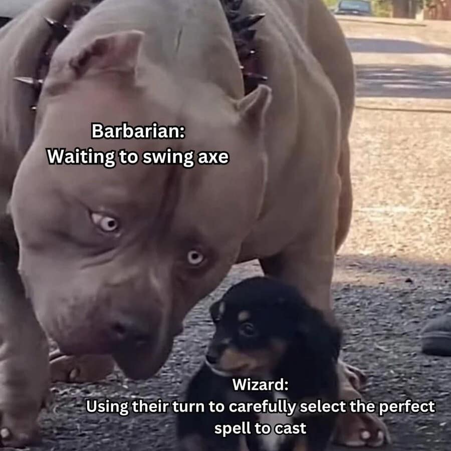 A funny combat d&d meme showing a massive, muscular pitbull representing a "Barbarian: Waiting to swing axe" staring impatiently down at a tiny puppy representing a "Wizard: Using their turn to carefully select the perfect spell to cast."