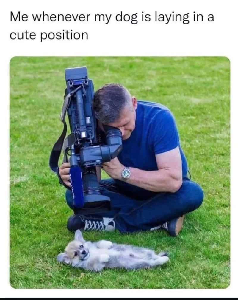 Professional cameraman crouched on grass filming a tiny puppy lying on its back.