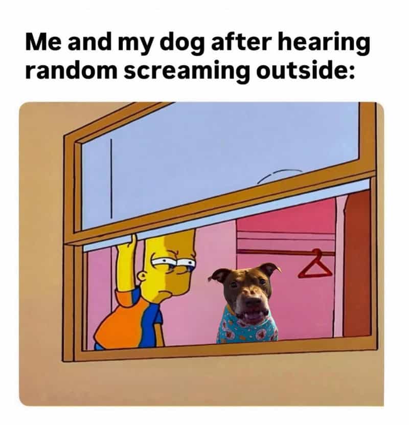 Bart Simpson and a dog looking suspiciously out of a window together at a noise.