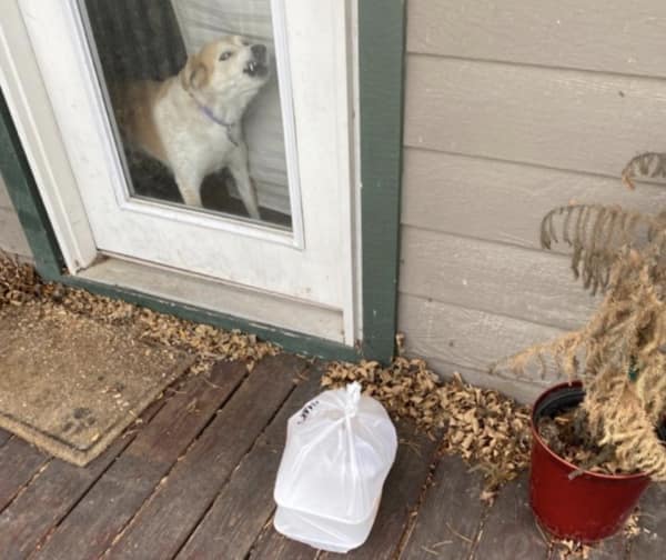 A funny doordash delivery photo capturing a dog behind the glass door making a chaotic and angry face at the food.