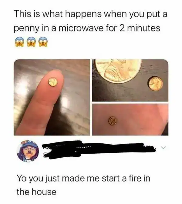 Social media post claiming a penny shrinks in the microwave with a reply about a fire.