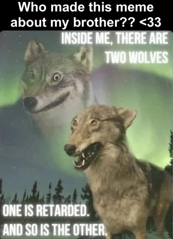 A "Two Wolves" family meme parody sent to a brother, joking that the two wolves inside him are both unintelligent to roast his decision-making skills.