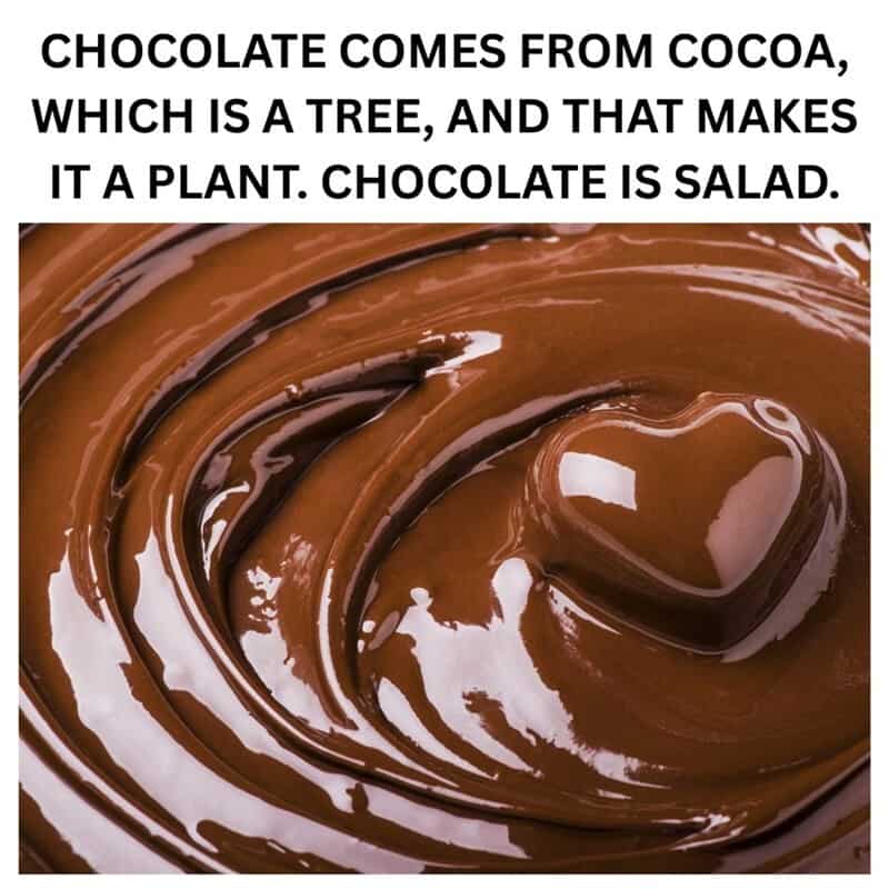 A food meme using transitive logic to classify chocolate as a salad because it comes from a cocoa tree, which is a plant.