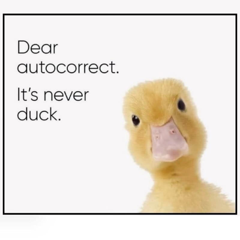 A classic funny animal meme featuring a duck staring into the camera with a message to autocorrect: "It's never duck."