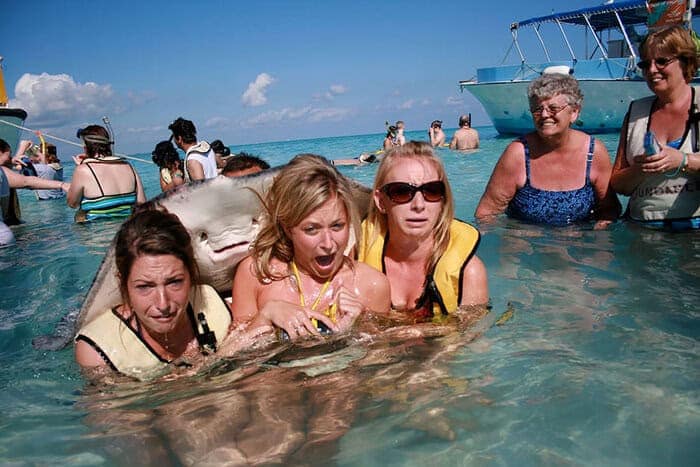 The ultimate animals photobombing fail featuring a stingray sliding up the back of a terrified tourist, appearing to smile while the group screams.
