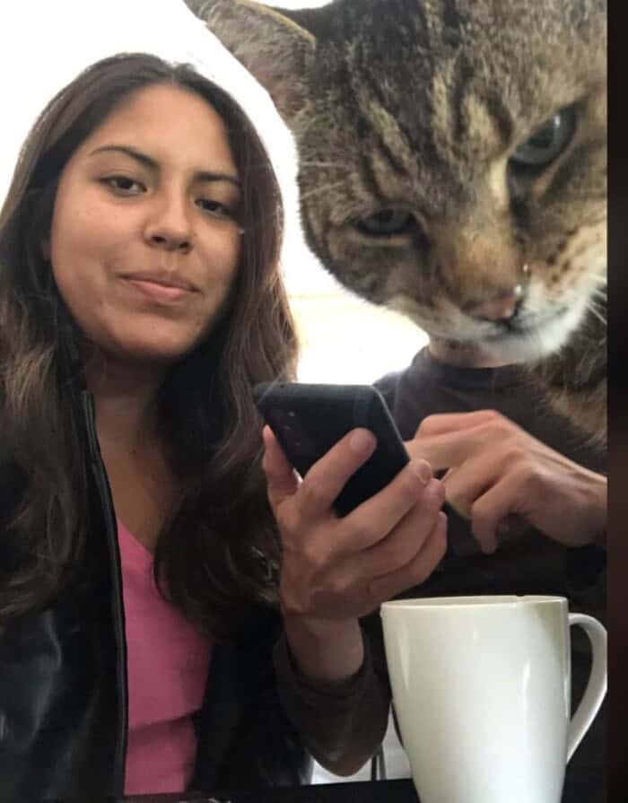 A nosey funny animal photobomb featuring a giant tabby cat head looming over a couple's shoulders to inspect the phone they are looking at.
