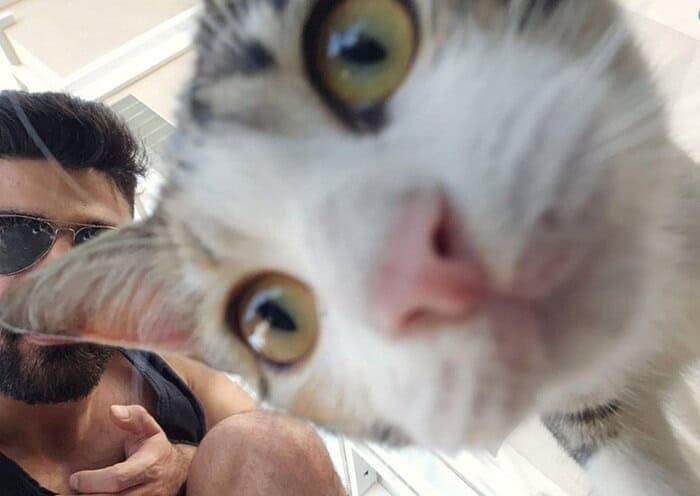 A close-up funny animal photobomb showing a cat's nose and wide eyes investigating the camera lens, completely blocking the guy trying to take a selfie in the background.