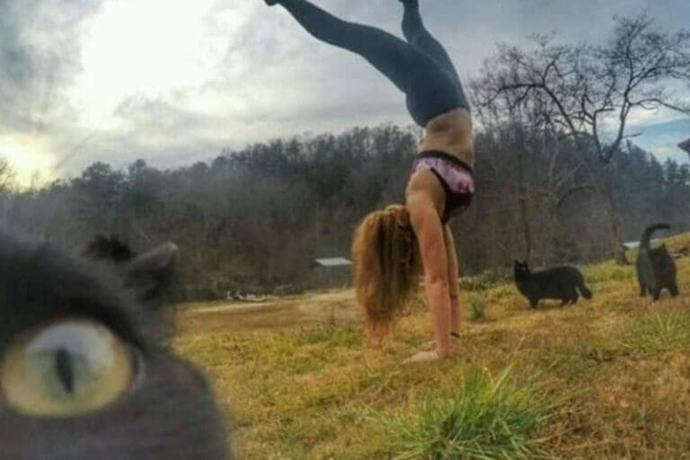 28 Unethical Life Pro Tips That Belong in a Thought Experiment Only