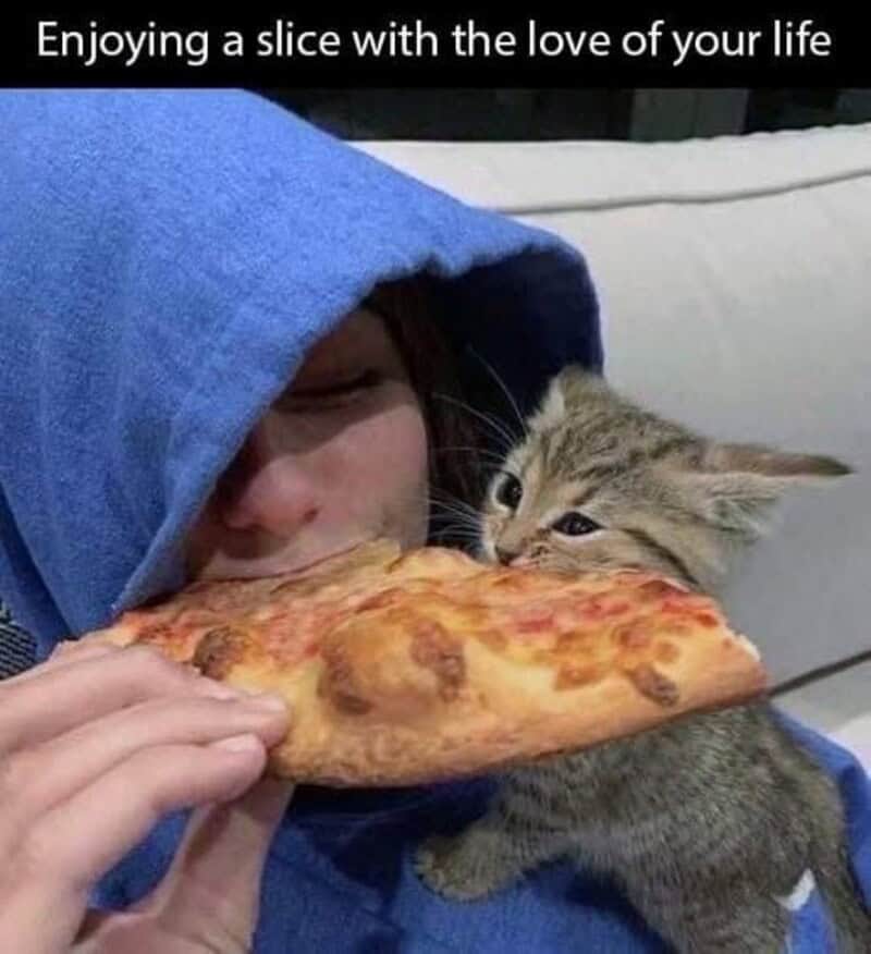 A heartwarming funny cat meme where a kitten takes a bite of a pizza slice at the exact same time as its owner.
