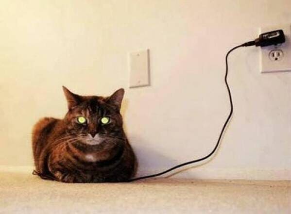 A sci-fi cat meme featuring a tabby cat with glowing green eyes "charging" via a wall outlet, ready to zoom around the house at full power.