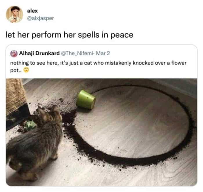 A "spoiled brat" funny cat tweet revealing a black cat sitting comfortably inside a custom fort made of couch cushions after trying to dig into the sofa.