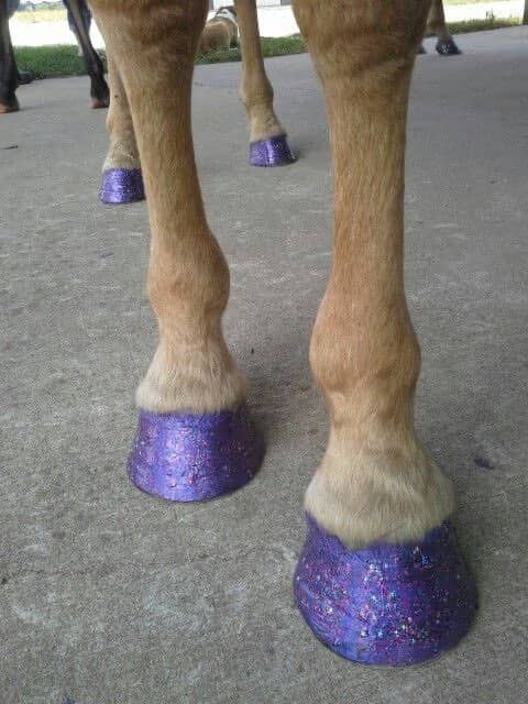 Close-up of a horse's hooves painted with bright purple glittery polish on a concrete surface.