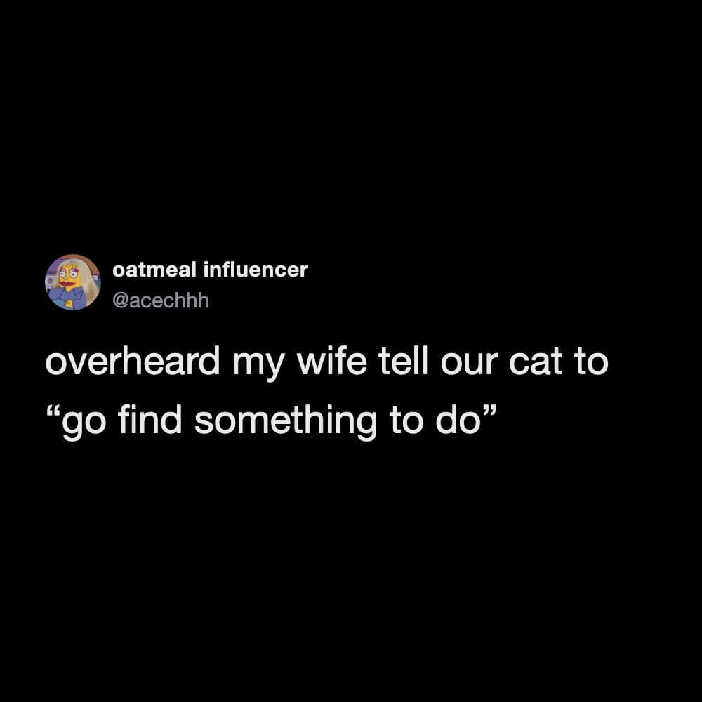 A hilarious and simple funny marriage meme where a husband tweets about overhearing his wife treating their pet like an annoying roommate by telling the cat to "go find something to do".
