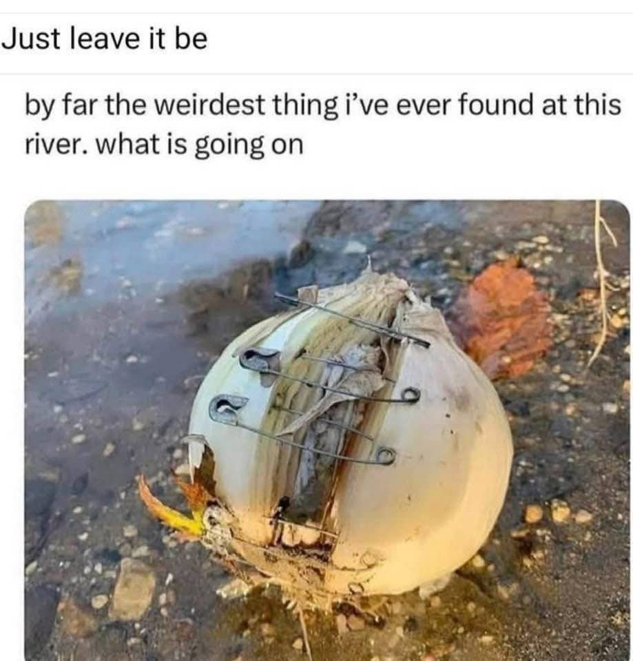 A funny picture of an onion held together by safety pins found at a river.