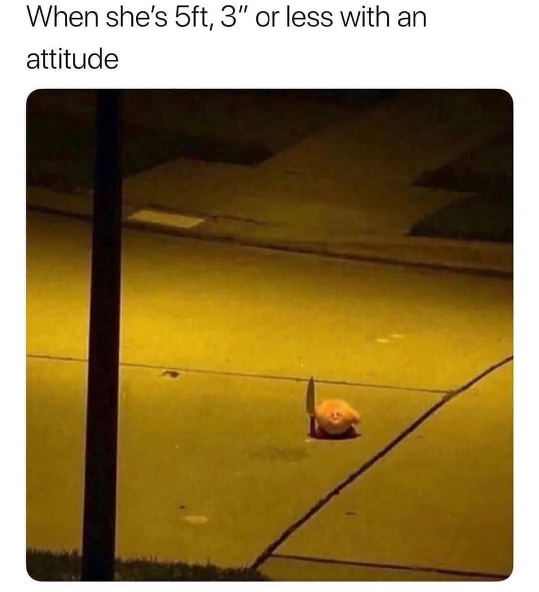 Funny meme featuring Kirby holding a knife to represent short girls with a big attitude.