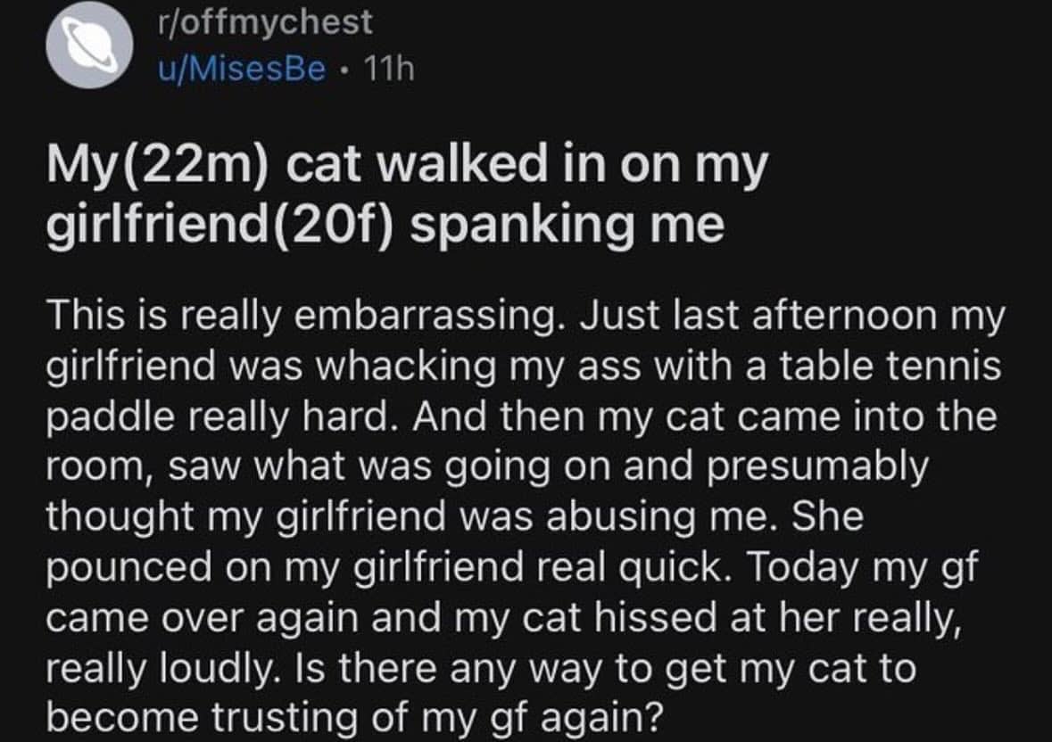 Screenshot of a Reddit post about a cat trying to protect its owner during a spanking.