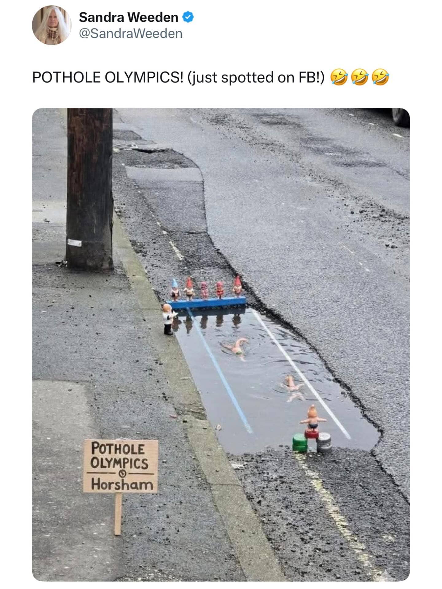 Funny meme about a neighborhood "Pothole Olympics" setup with figurines swimming in a water-filled road crater.