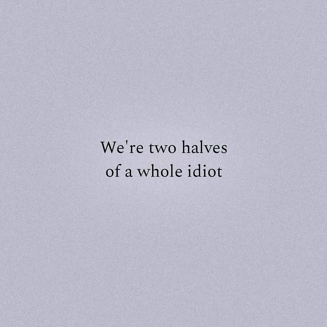 A humorous text post stating we are two halves of a whole idiot on a plain background.