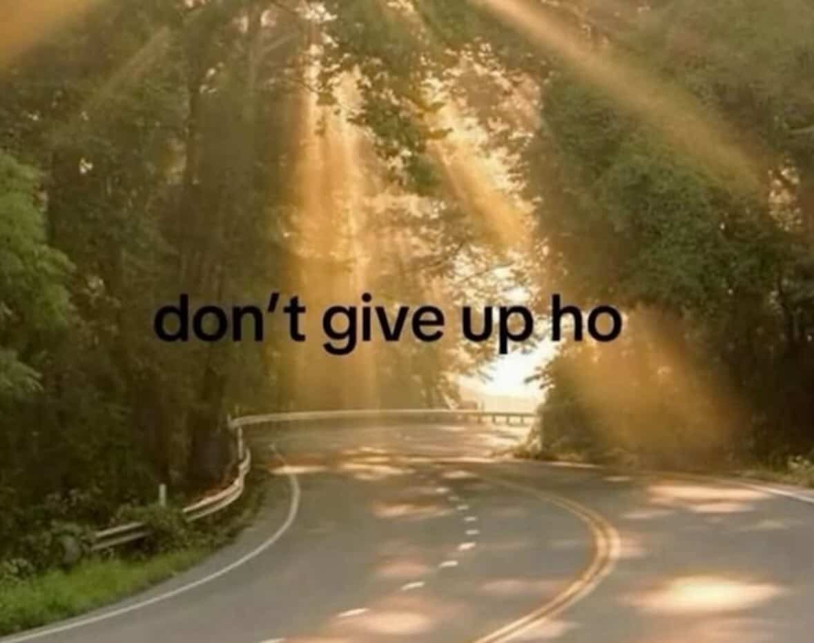 Inspirational road landscape with sunlight through trees and humorous "don't give up ho" text overlay.