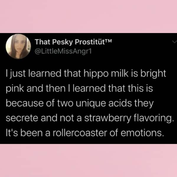 Educational yet funny text post about the surprising chemical reason why hippo milk is bright pink.