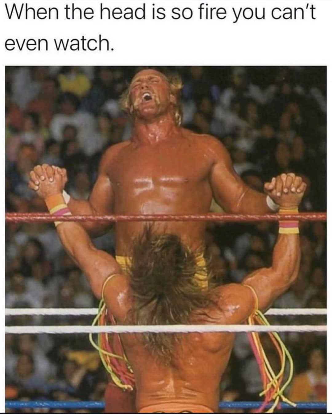 Funny wrestling meme featuring Hulk Hogan and The Ultimate Warrior with a suggestive caption.