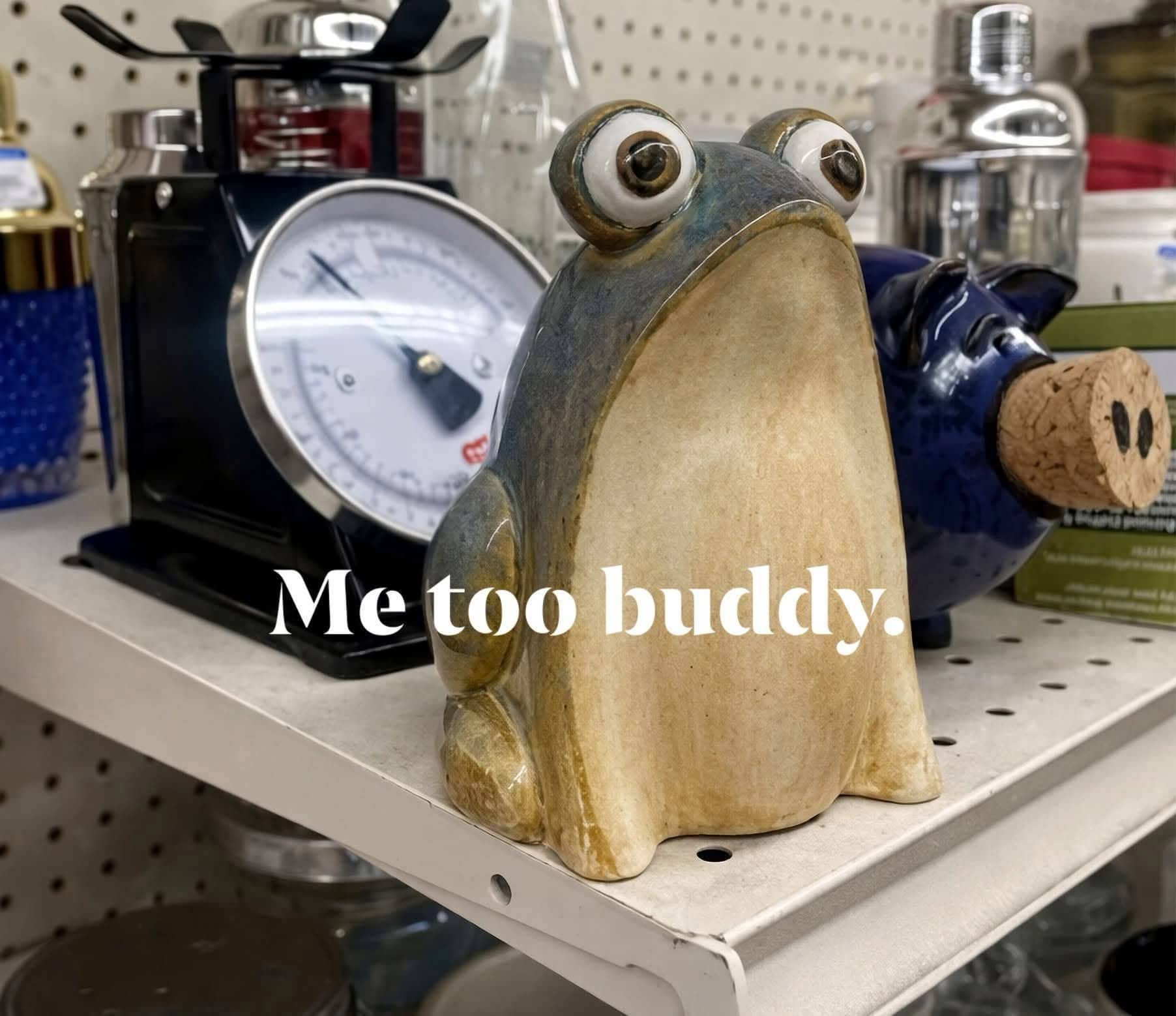 Humorous photo of a wide-eyed ceramic frog figurine on a thrift store shelf with the caption Me too buddy.