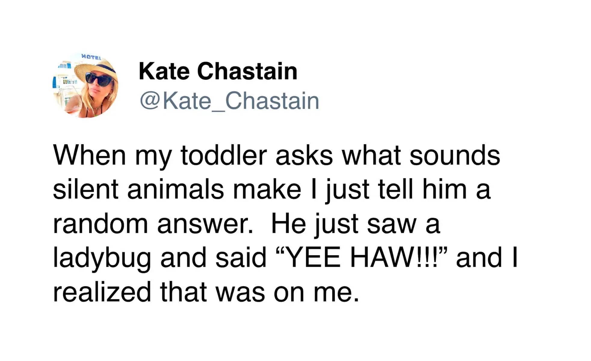 A funny tweet by Kate Chastain about her toddler shouting yee haw at a ladybug because of her.